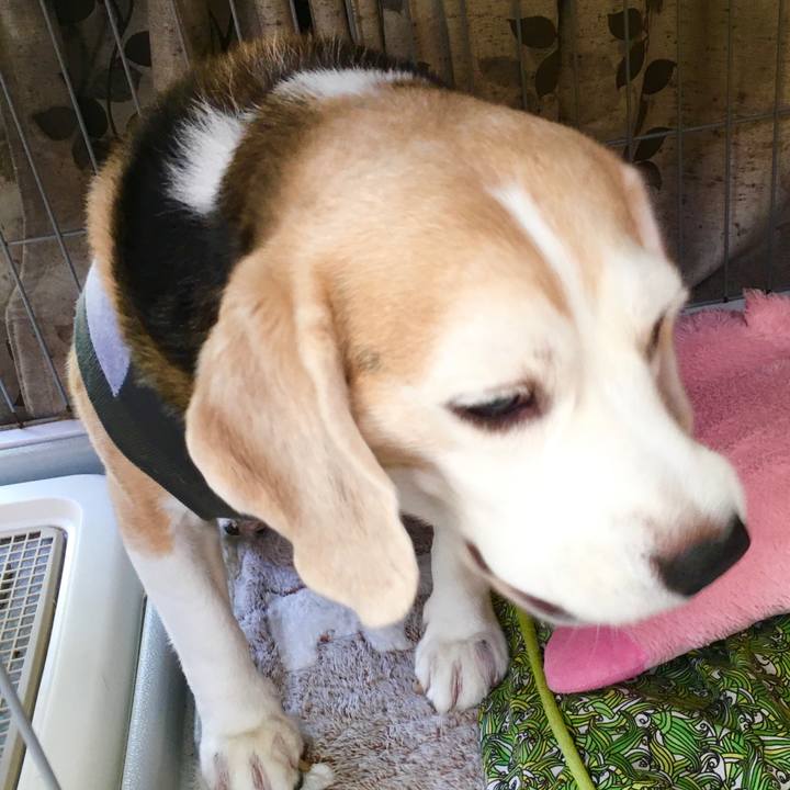 F89dc0d6 4aab 4ee4 9862 b7e6a333f238 1570160422367