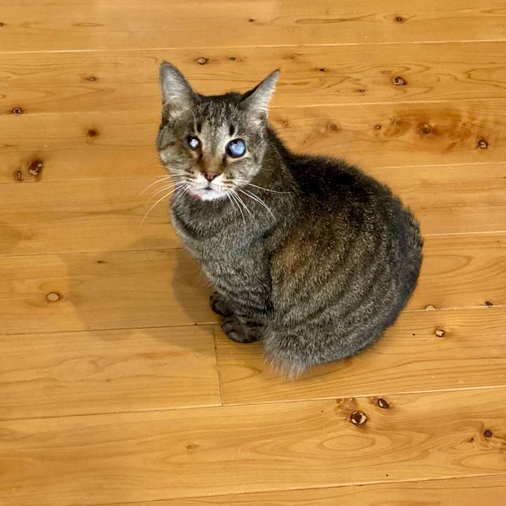 F89dc110 b194 453c b1e4 ad169b2cbbc2 1652434530371