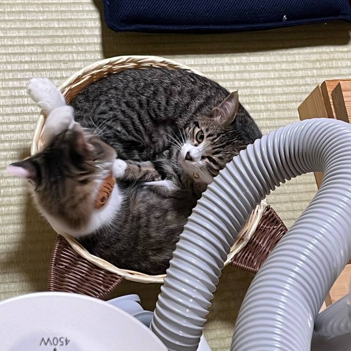 F89e0e23 31d0 4913 b5bc c44b400f586e 1699094619343