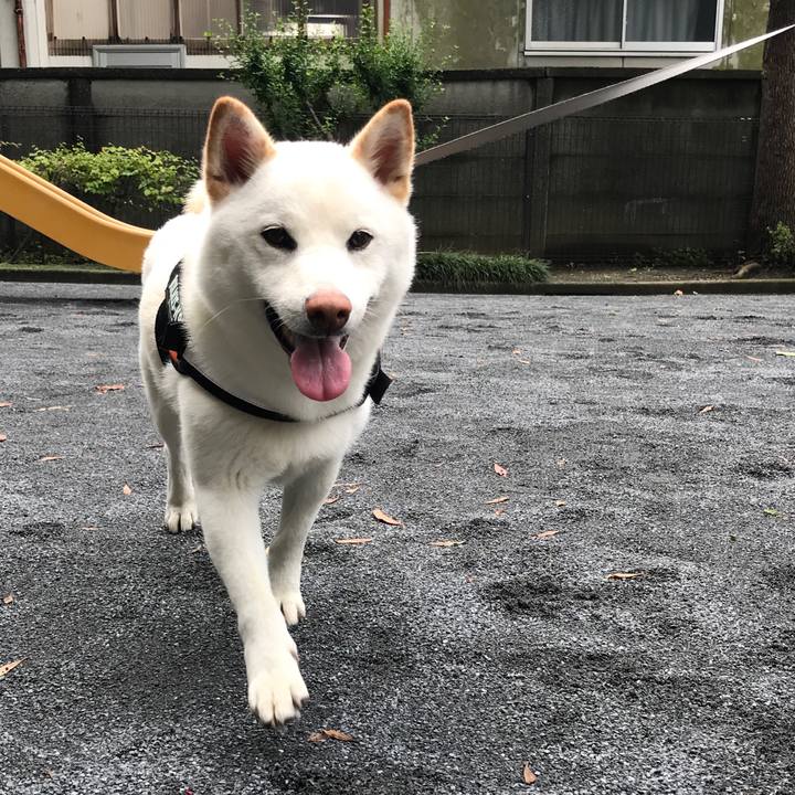 F89e2aa3 f6c4 4789 a9f4 24834f7955c2 1529808784705