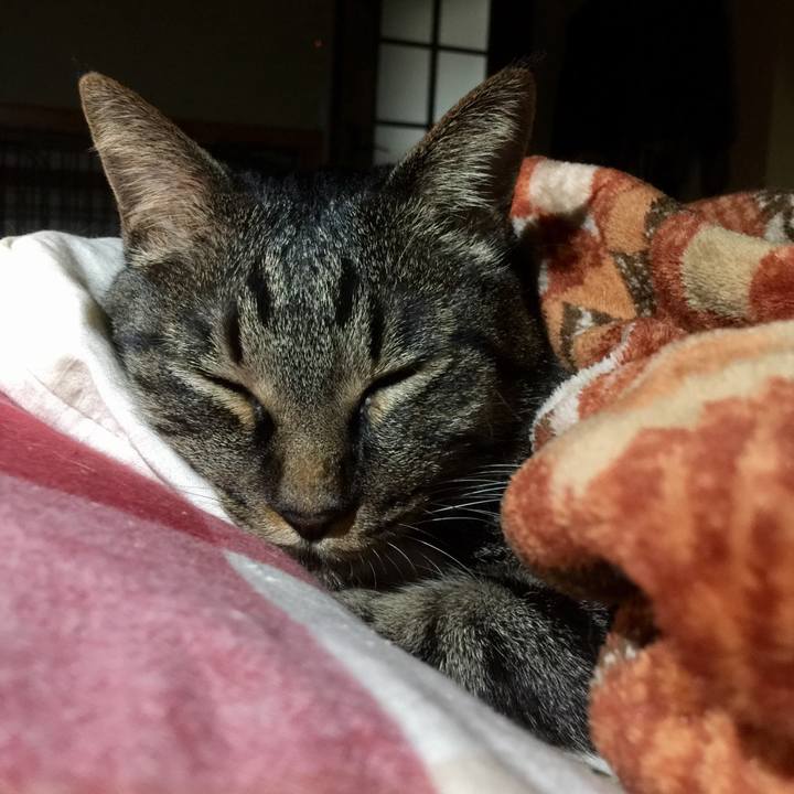 F89e3433 75de 478e ba04 e9be27dbcd2f 1574421879162