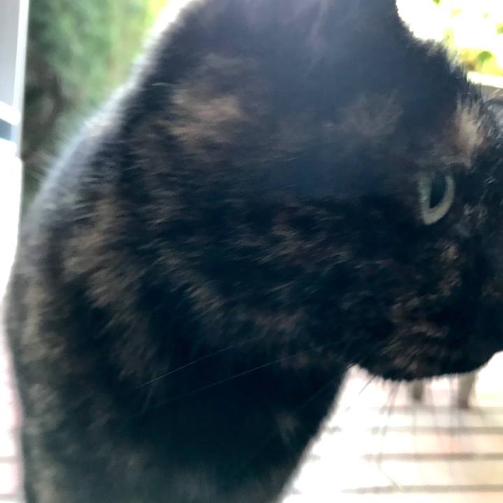 F89e3970 3596 49f1 b2f8 ea099bad3cf9 1511491883782