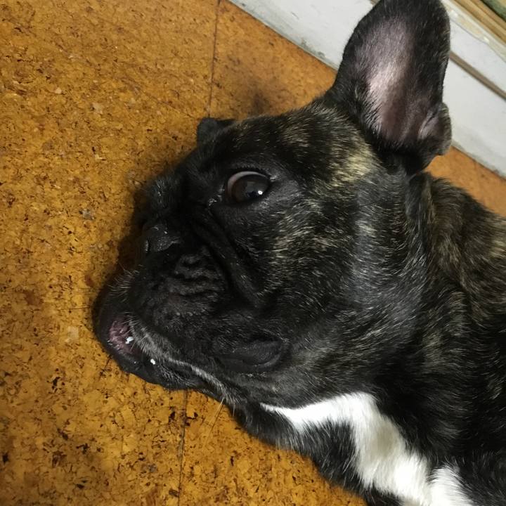 F89eef88 3d91 4ac8 be83 2e4b22c348ce 1511439943801