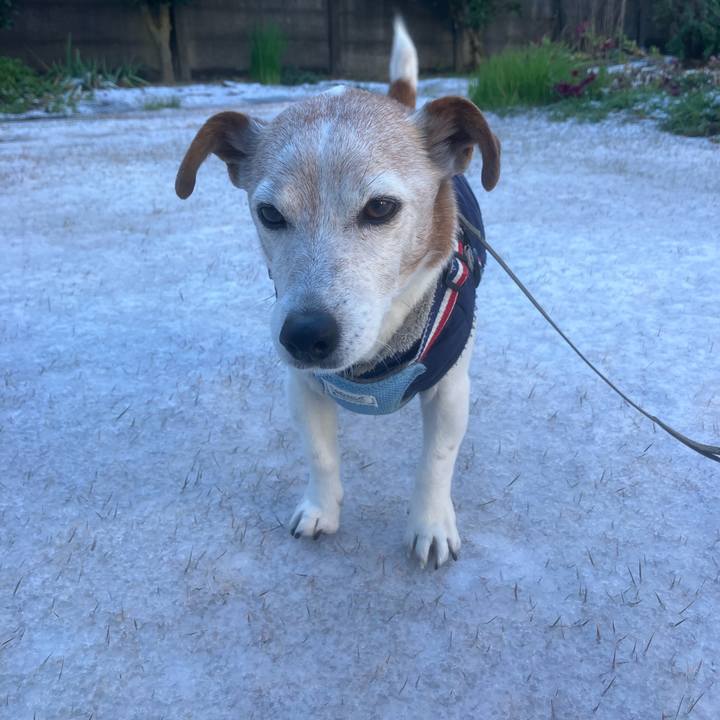 F89f077b 3a8b 4d7d 8ee4 1b3c9301812f 1767405743132