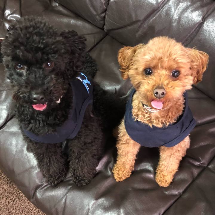 F89f521c ba00 43ac b365 b7ddd1056c16 1552711943831