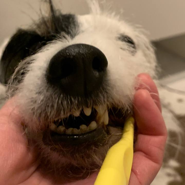 F89f7890 4556 48e1 949b c44223f5035d 1706278216015