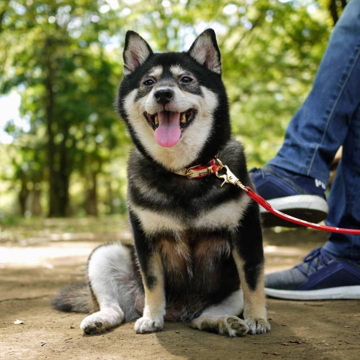 F89fa82f 5a3f 4bf5 b883 c13d0b5e940d 1598882718764