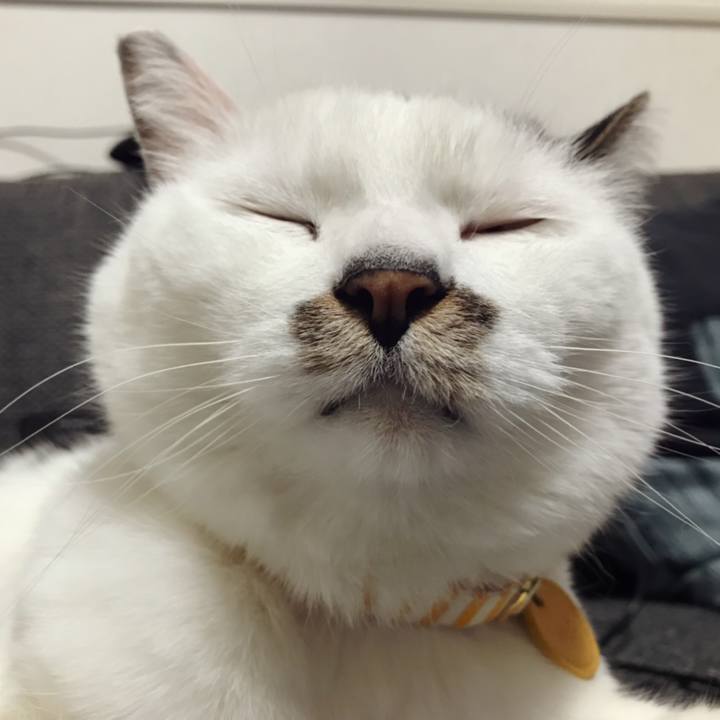 F89fac0a eb51 4a56 883b 30a67ca4a52d 1589598994881