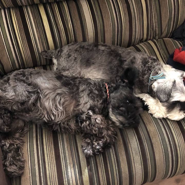 F89feb0b 1e3a 4b6a b1f5 cebf0dbf8885 1541821184925