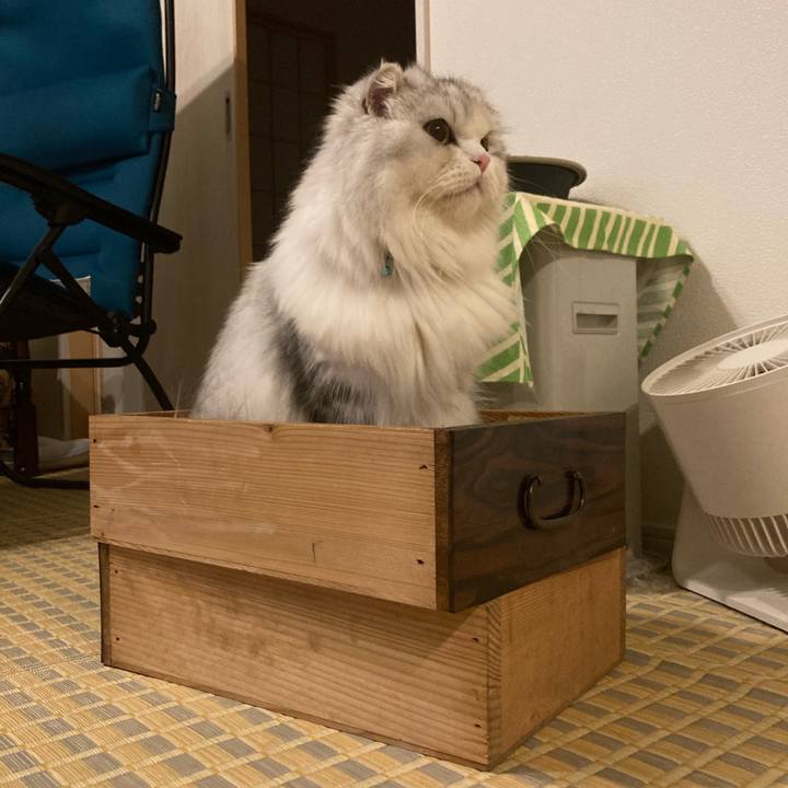 F89ff76b f5c0 4755 894b 1fecfd9e51ba 1666446446915