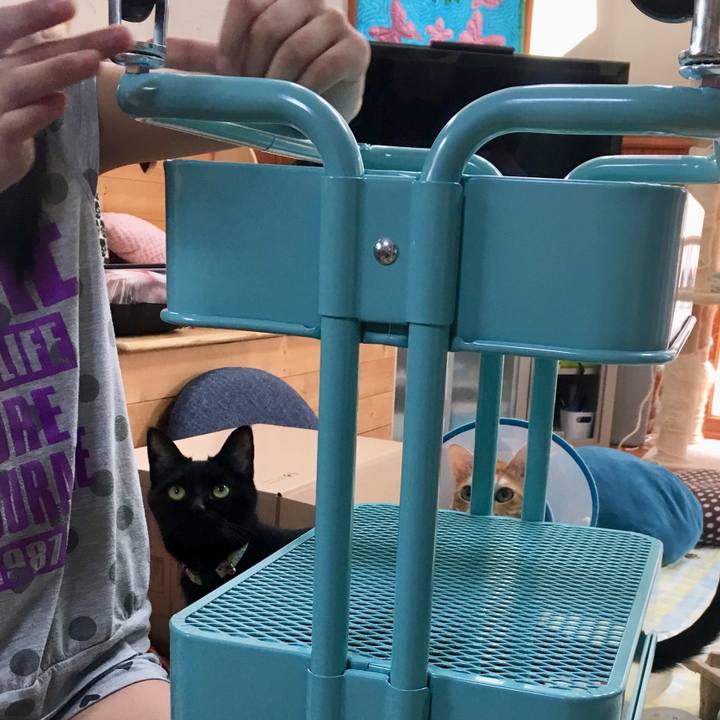 F8a0279a b91b 4bb2 9281 b1bb3b7ee03c 1525510584375