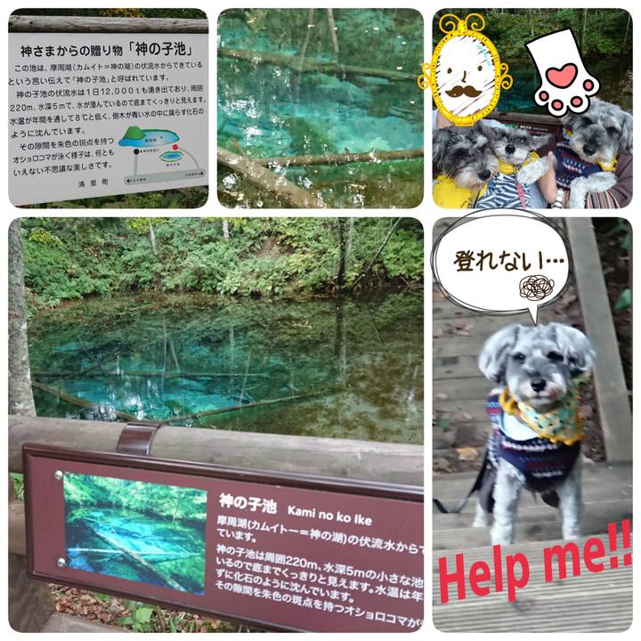 F8a047b1 953a 4154 b589 3c443787919b 1568914443833