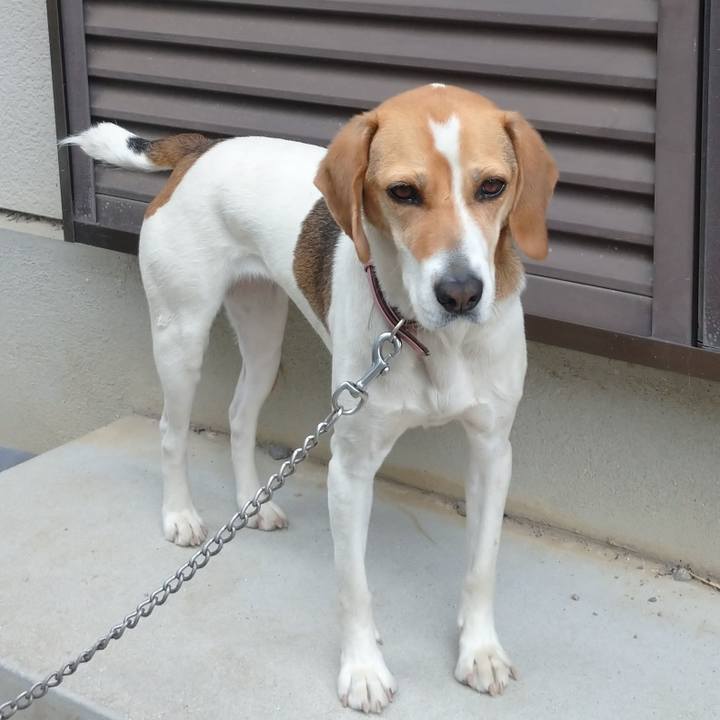 F8a049ad bf79 4e72 b95a bf5961a2c566 1590209933331