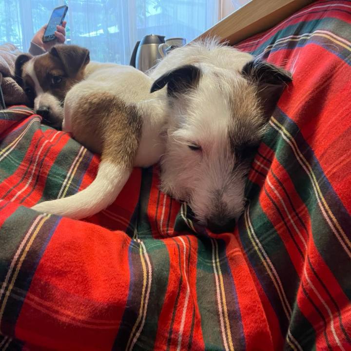 F8a09610 4679 4a87 a3f0 1ed93fff5777 1616896306822