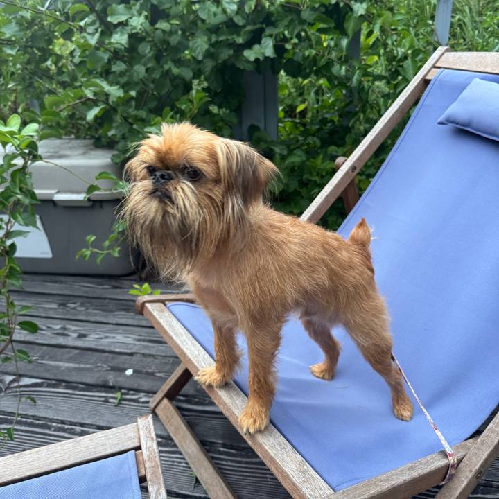 F8a0ba6d b9db 40cb 8055 e419c1c3dc91 1755265700506