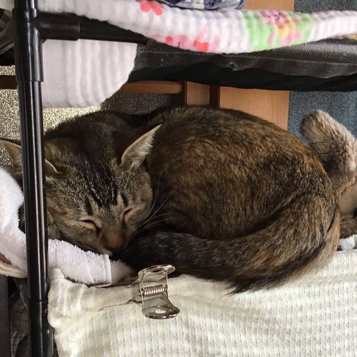 F8a0c7e5 e1d0 4994 8d28 80fcffae5d42 1582774965259