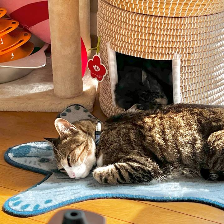 F8a0fff3 a84f 4e2f b4b5 0307a1c0e0a8 1756893622766