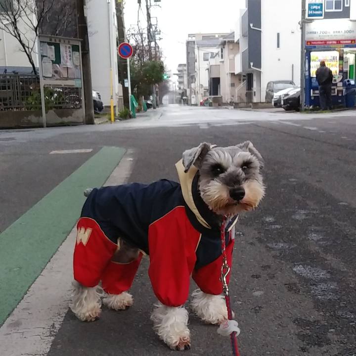 F8a105b9 1f6f 4fe7 b90a 5c99c0bebdb1 1579300246130