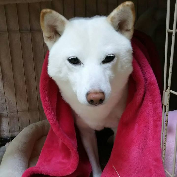 F8a10924 91ef 4b71 923c 9642cf44ee64 1518133615490