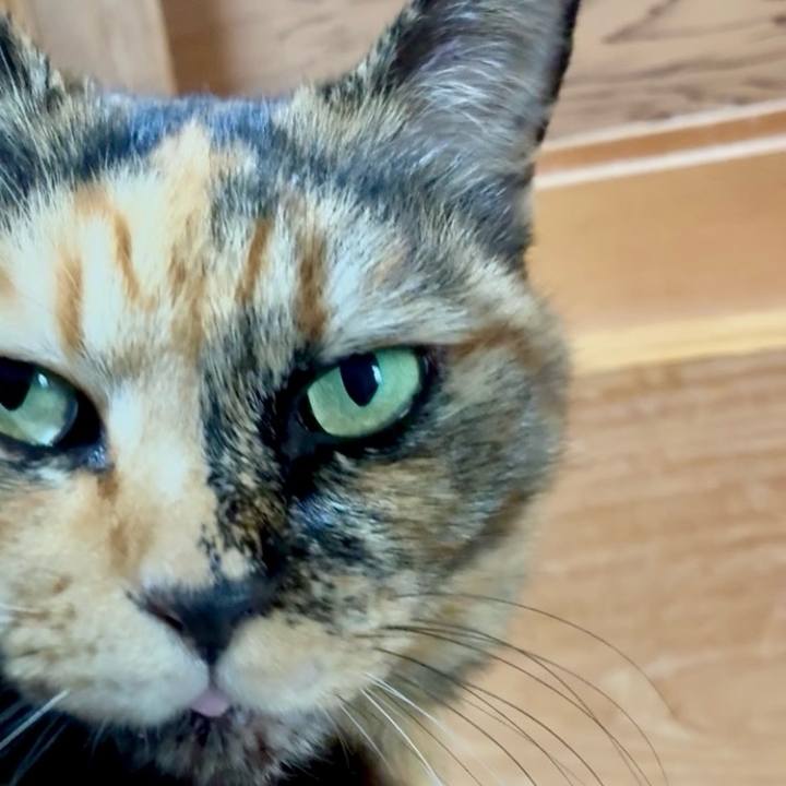 F8a10a80 a330 427e 8a90 f5e24275d5cd 1763776723924