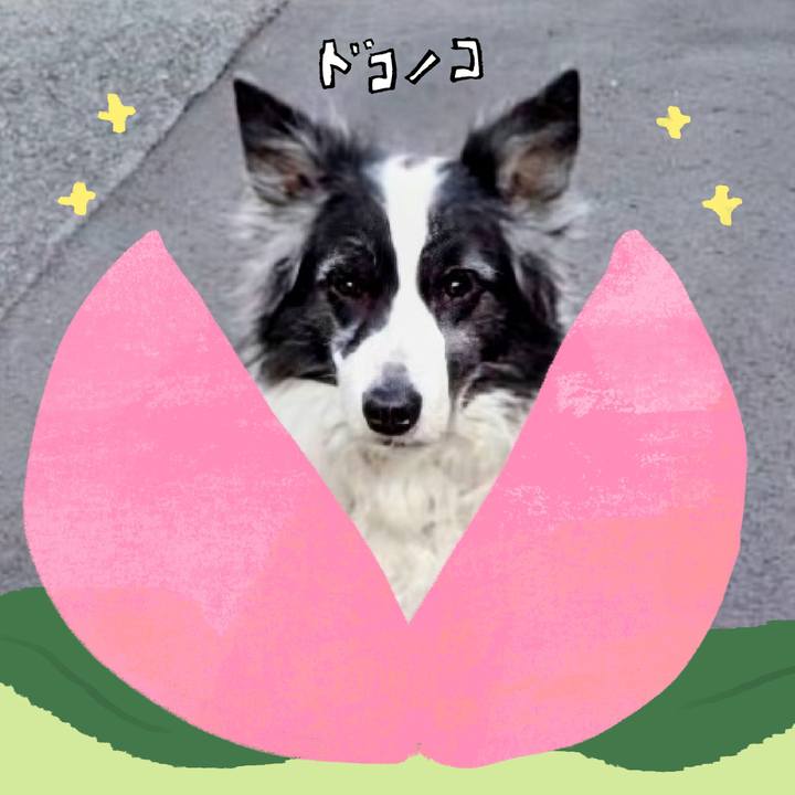 F8a12de8 e8f2 4deb a171 87418392a42a 1772501348795