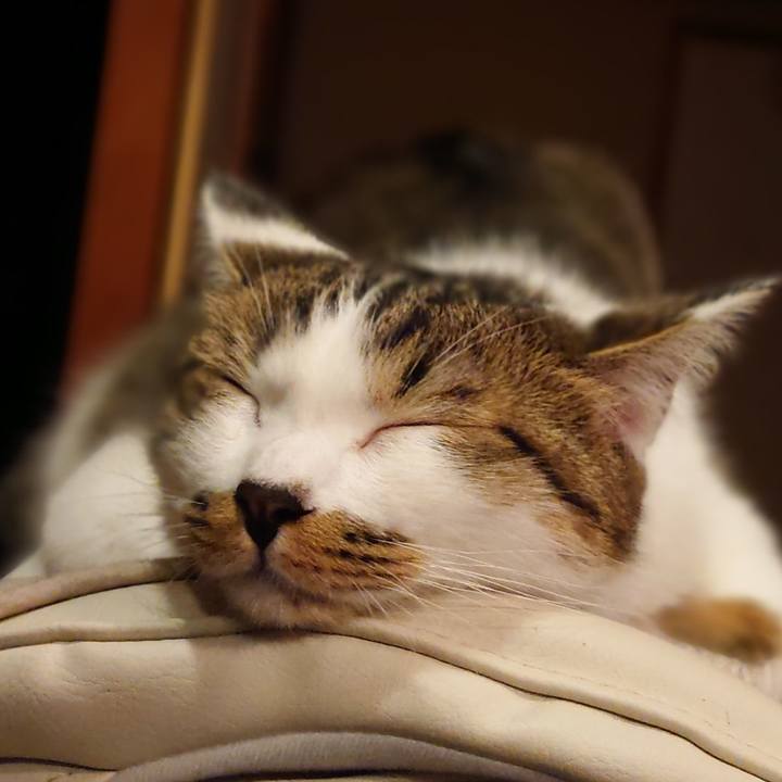 F8a1a705 4c17 41c6 8ffc c359b5fa6603 1562410276532