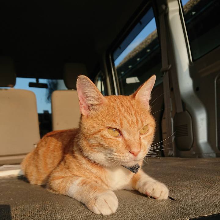 F8a1bf7d 40e2 446b a890 e9ab31e65e9d 1564347486536