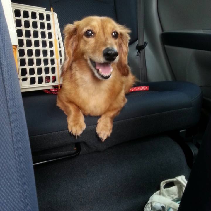 F8a1c3f0 5c29 4e3e 84ee 85580c1561e6 1527948467704