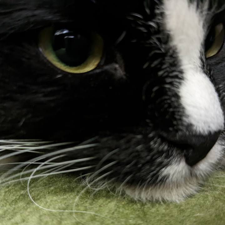 F8a1e787 3492 46a5 8d95 8c363ba24874 1686643269555