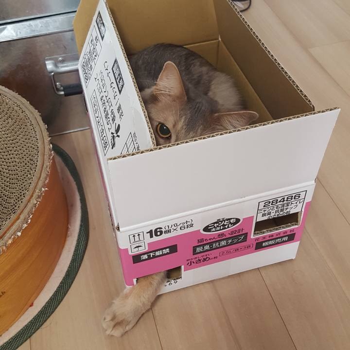 F8a1f9d5 88c9 46f3 8f0c ed83c626eab0 1587433991608