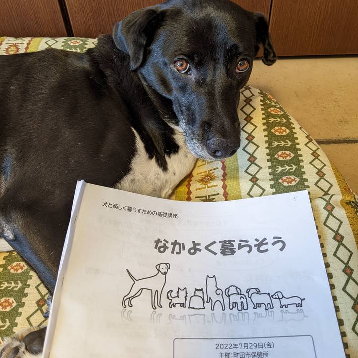 F8a26833 c29f 4b9b a114 f3f830d9c880 1659069948837