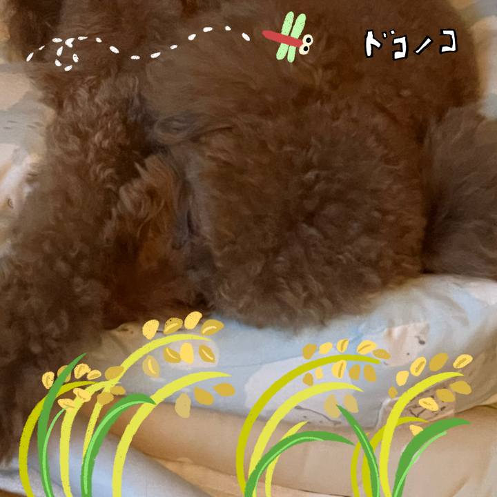 F8a27388 1c47 4828 a190 5853d6e3c1a4 1761480064251