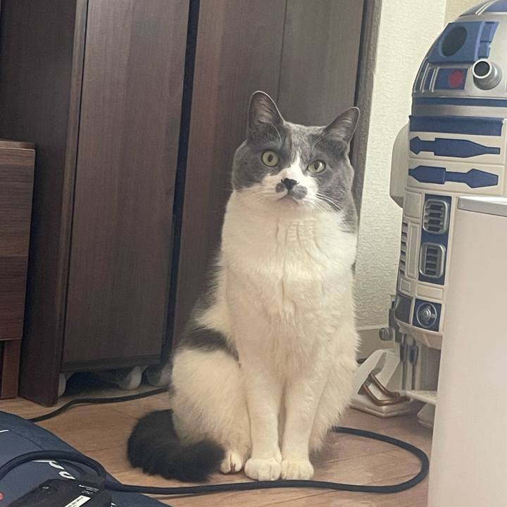 F8a2978c 5064 48e9 bee1 f4ef5b9bcdb9 1742797684325