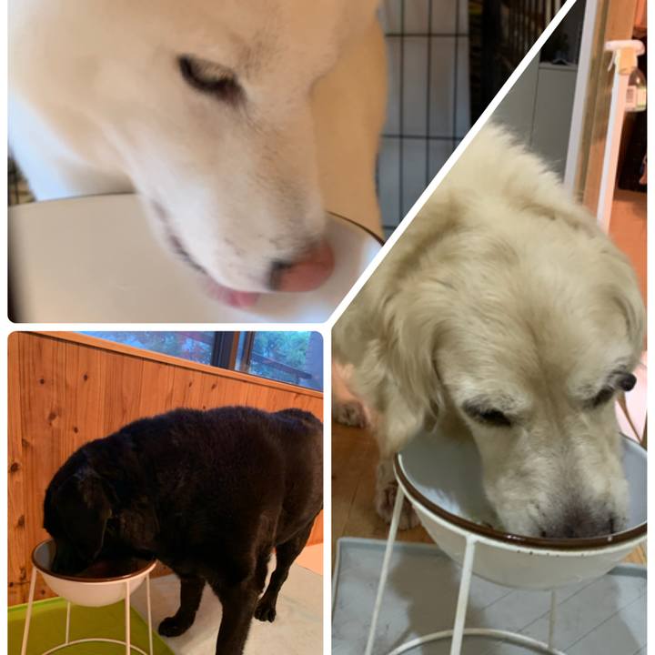 F8a2b4af b1fa 487f 92d9 294c85c8e260 1599258598666