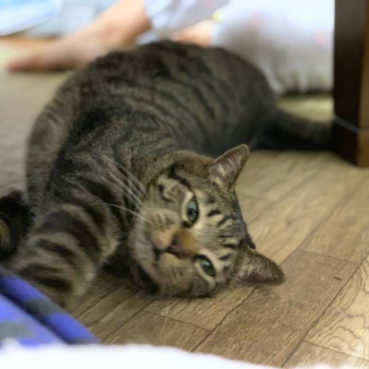 F8a2b905 04df 44bc bda9 6dda1db2c5f0 1603972950597