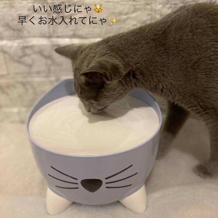 F8a2cc38 7795 4d81 a9c7 871d80e909f4 1683287082753