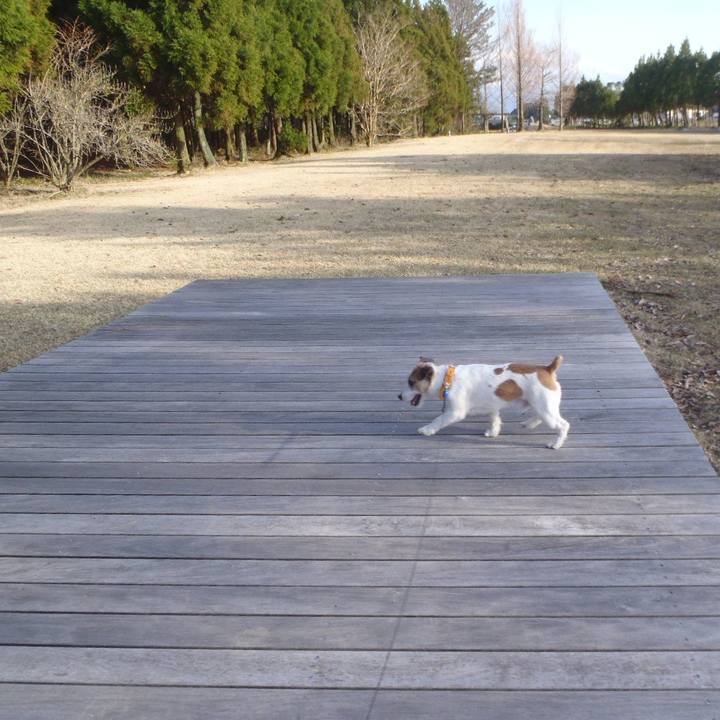 F8a2cd2c ae7b 41bc 9971 487edffab54f 1522662650059