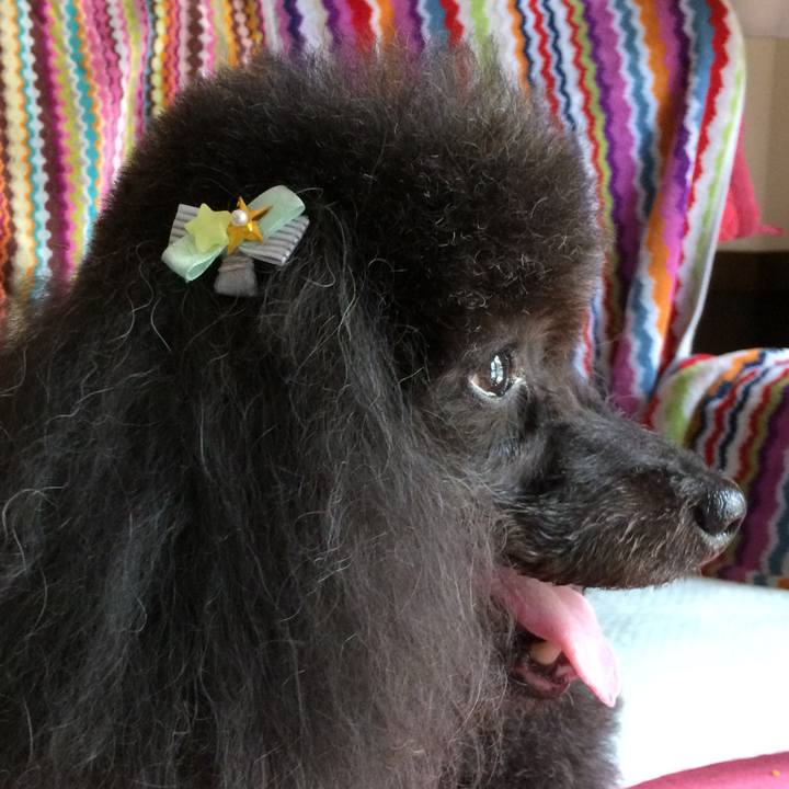 F8a2e71d 4a33 41f3 a6a8 93ea137580b9 1636646831495