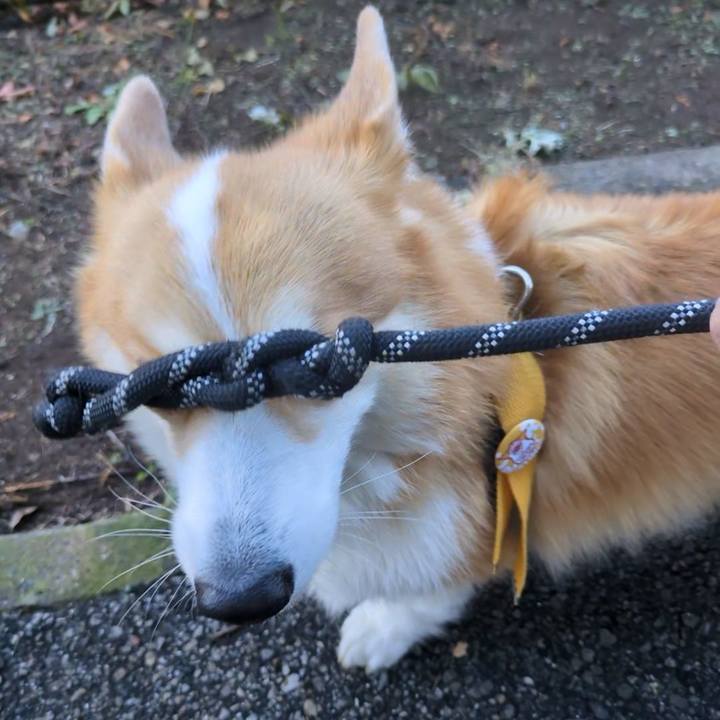 F8a2f8bd 7a7a 4c81 b6cb 00229d00aca7 1762832172165