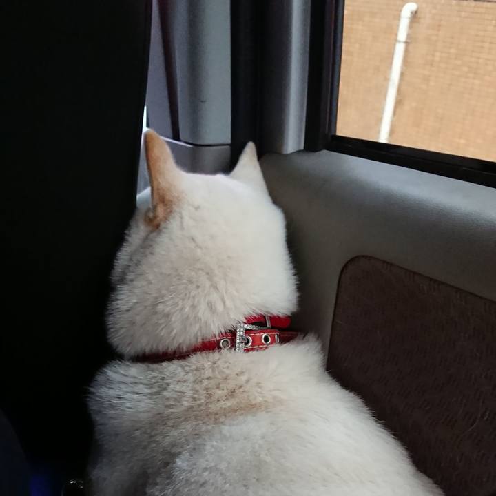 F8a30158 e3ae 472b bd46 1f2813a92025 1527499096693