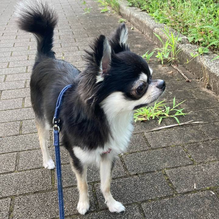 F8a313d8 a685 4aa1 a568 6489840422b3 1626995510971