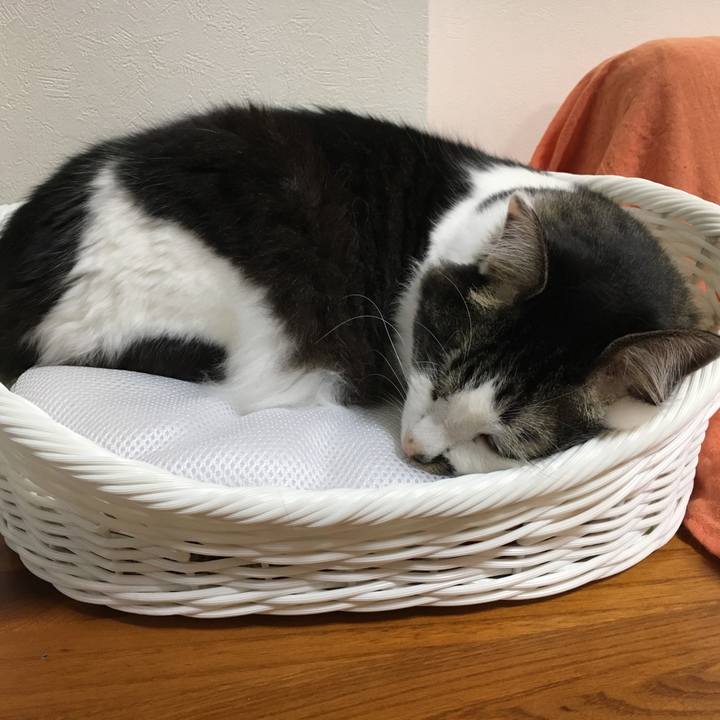 F8a315ee 4aab 430d 9e17 8358fd00a407 1555202473345