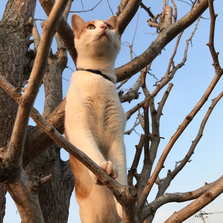 F8a32631 d019 4ac2 bafb f20d44c442c7 1520928372157