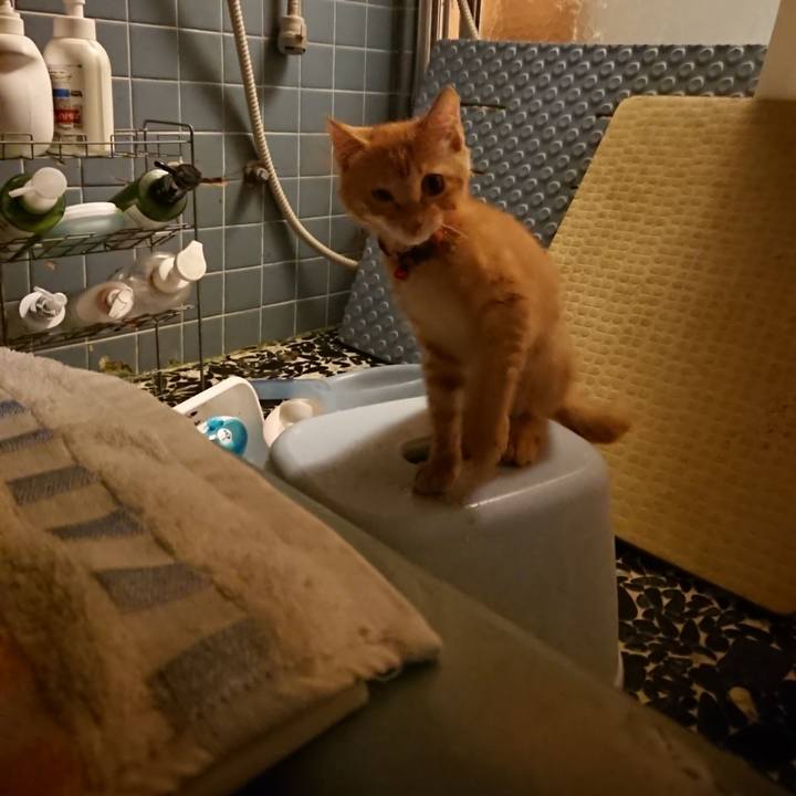 F8a37a65 a09b 4504 bfcc 0e8f53a75bf1 1631786545387