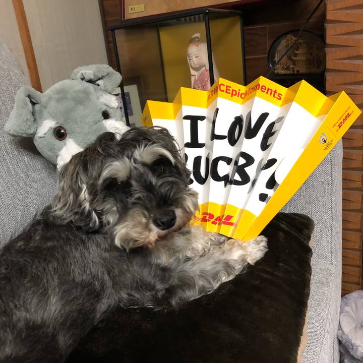 F8a3be13 8821 47dc 868c 4c209b76b71a 1571570880590