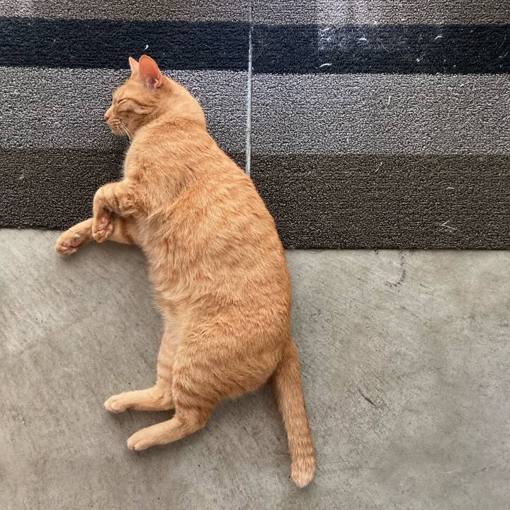 F8a3de20 7d4c 459d 9cdf e0c5aae9b915 1657149079581