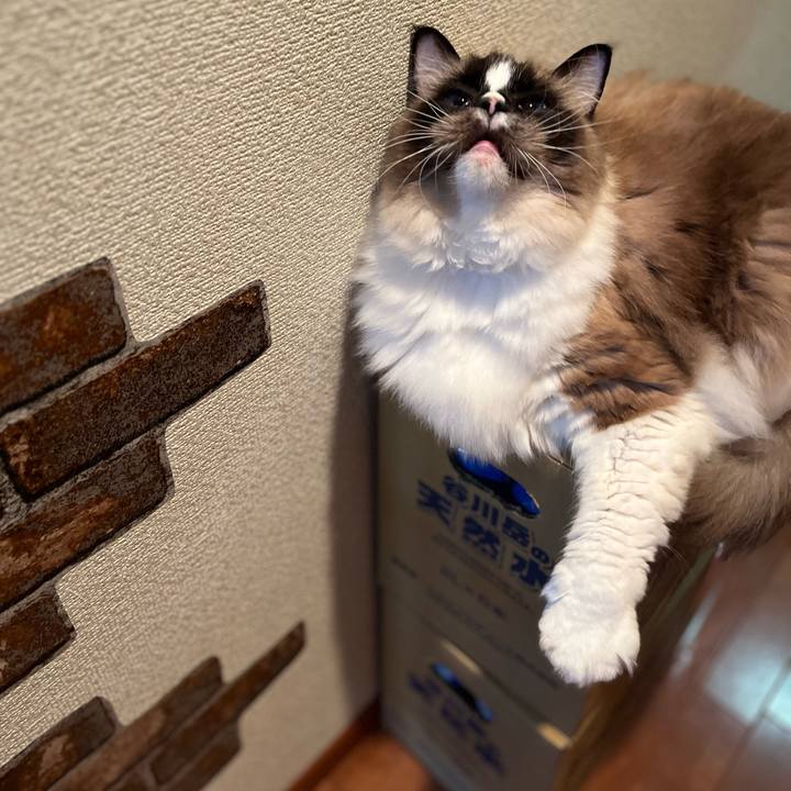 F8a42861 4c9e 4d18 a097 2ecacd3dc1ee 1708431614696