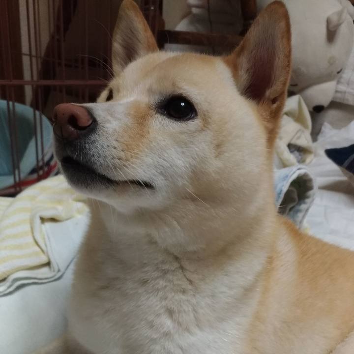 F8a44ffb 6cee 4386 82b1 e68cfab8b32c 1568205720500