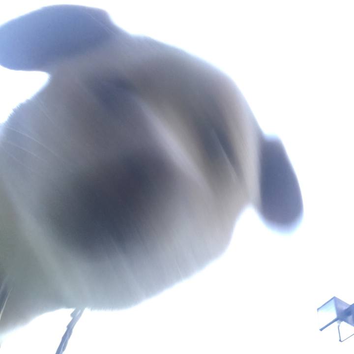 F8a45617 213b 4399 b6fd 80fd19b9e142 1529581672263