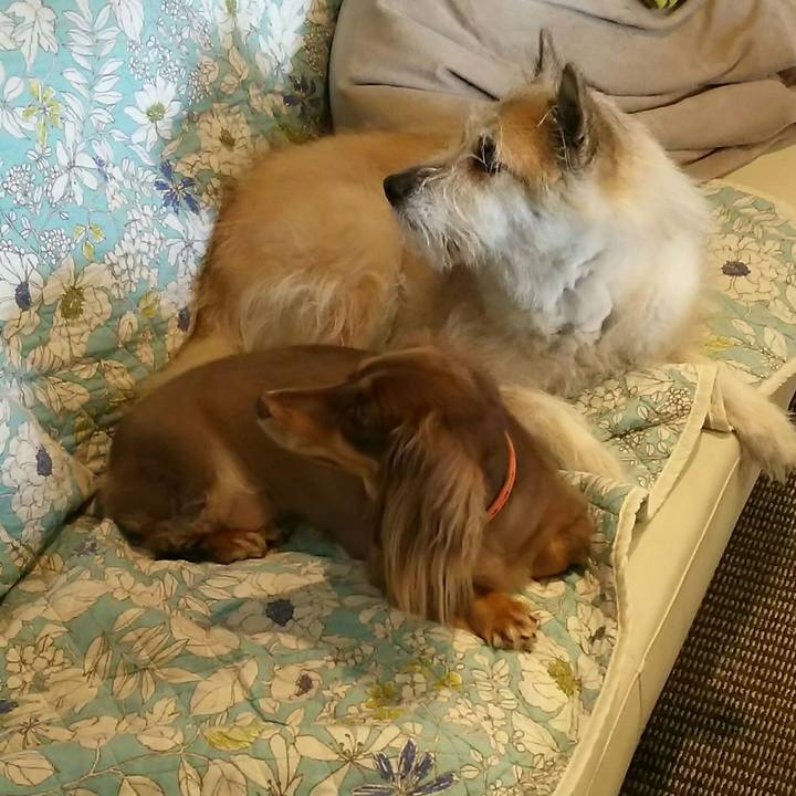 F8a47edf 1a5b 4c24 bfc7 52b95f2d798e 1534134470490